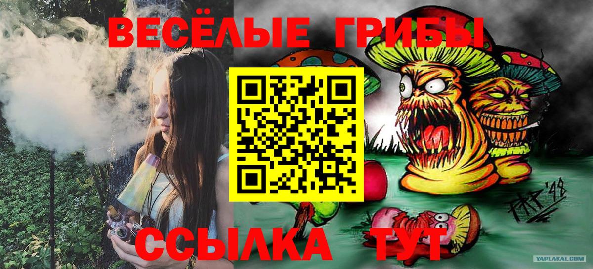 Псилоцибиновые грибы мухоморы Шадринск