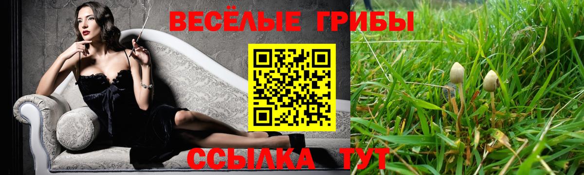 Шадринск  Галлюциногенные грибы Psilocybine cubensis  Вход с VPN  Галлюциногенные грибы мухоморы 